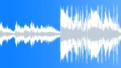 Swamp Swagger (loop 02)Stock Music