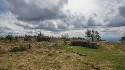 Swamp with tree and dramatic clouds Stock Photos