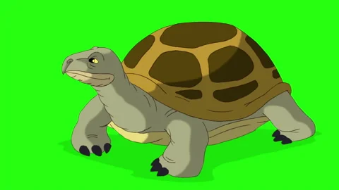 Swamp turtle peeks out of its shell and hides back chroma key 動画素材 139797505