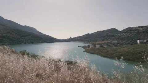Swamp of the viboras in jaen Stock Footage 161021180