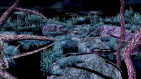 SWAMP VIEW 3 Stock Footage 45987571