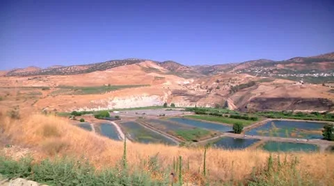 Swamp View Stock Footage 10950504