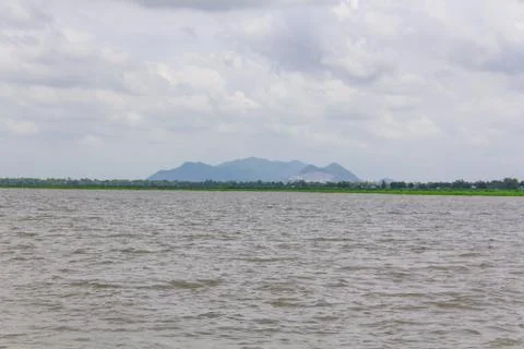 Swamp11 Stock Photos