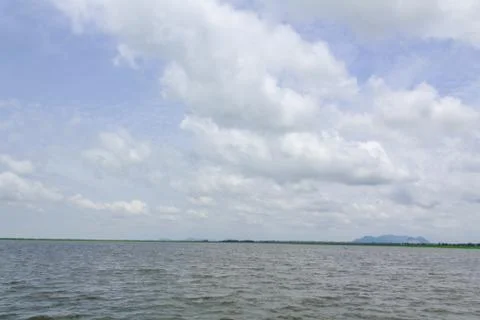 Swamp14 Stock Photos