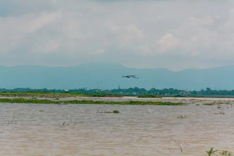 Swamp15 Stock Photos