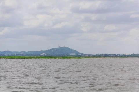 Swamp18 Stock Photos