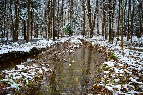 Swamped Trails Stock Photos