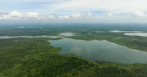 Swampforest and marshland in the Philippines. Stock Footage 287121427