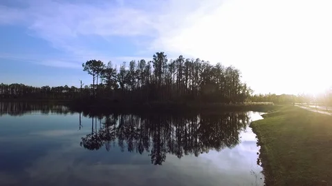 Swampland Vídeo Stock 88881467