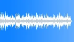 Swampy Acoustic Stock Music