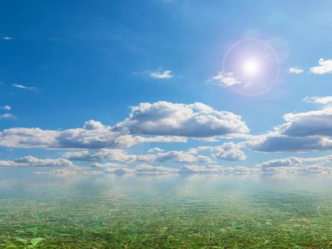 A swampy area Stock Photos