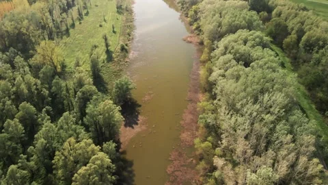 Swampy backwater Video stock 262617919
