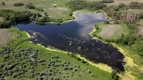Swampy lake Video stock 247788749