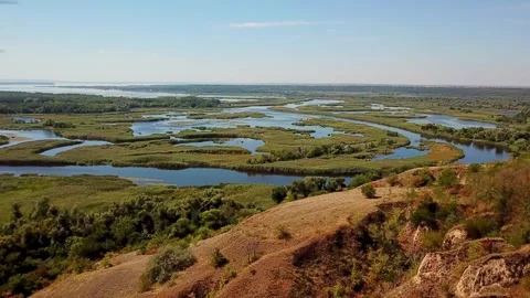 Swampy Lands That Surround a River. Video stock 257783876