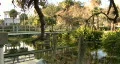 Swampy Pedestrian Bridge HD Footage