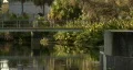 Swampy Pedestrian Bridge HD Footage