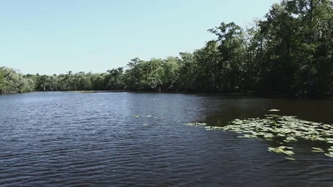 Swampy River 007 Video stock 89911214