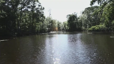 Swampy River 012 Video stock 89911179