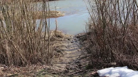 Swampy road to the river Stock Footage 150055094