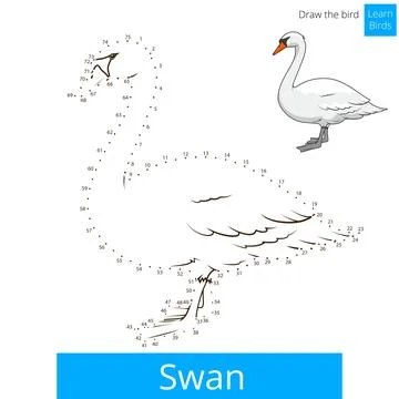Swan bird learn to draw vector Stock Illustration