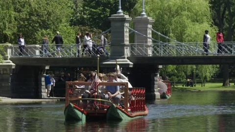 Swan Boat Stock Footage 147234046