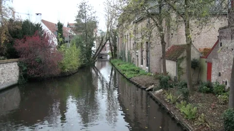 Swan on a channel 스톡 동영상 30760825