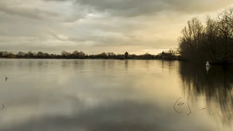 Swan Dance - Timelapse - 4K - 23.98 fps - England - UK Stock Footage 147493582