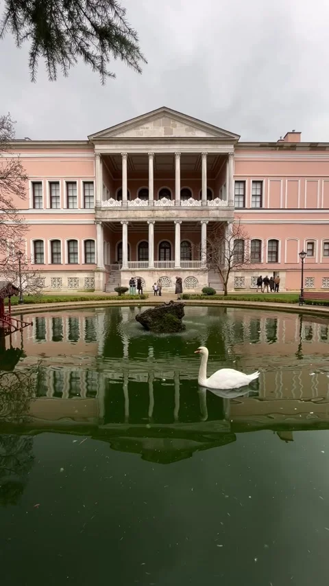 A swan from Dolmabahce Stock Footage 276960052
