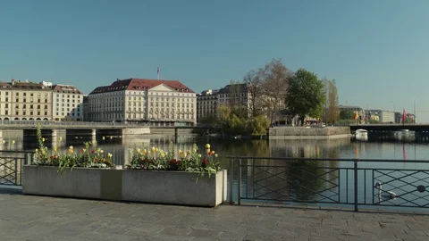 Swan in empty Geneva, coronavirus time - 4K Stock Footage 129571689