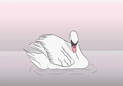 Swan floating on water, vector Illustrazione stock
