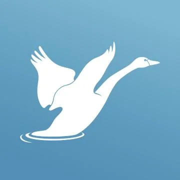 Swan fly over the river Stock Illustration