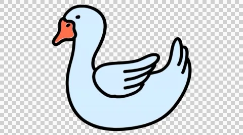 Swan hand drawn animation line sketch with transparent background Stock Footage 44209987