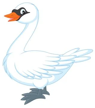 Swan Stock Illustration