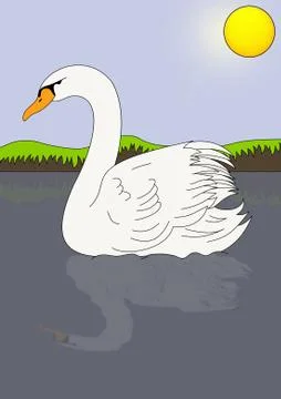 Swan Stock Illustration