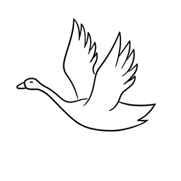 Swan Stock Illustration
