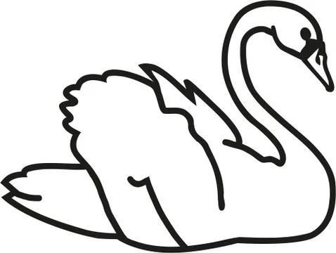 Swan Stock Illustration