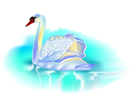 Swan Stock Illustration
