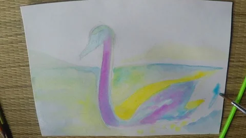 Swan lake Stock Footage 289860316