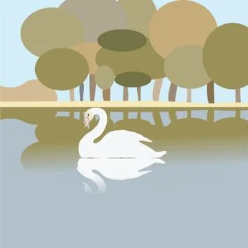 Swan on a lake Illustrazione stock