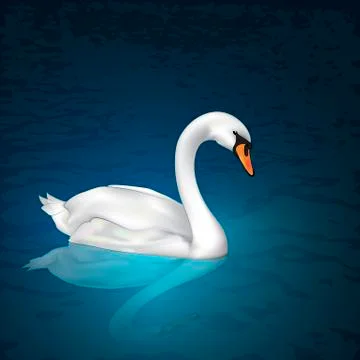 Swan on the lake Stock Illustration