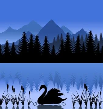 Swan on lake Stock Photos