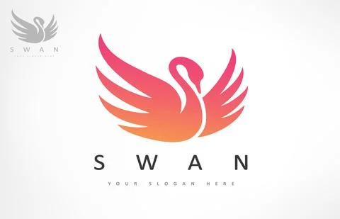 Swan logo vector. Bird design. Stock Illustration