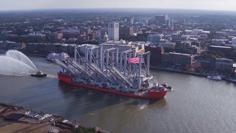 Swan on Savannah River Vídeo Stock 84186234