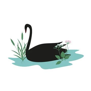 Swan simple illustration Stock Illustration