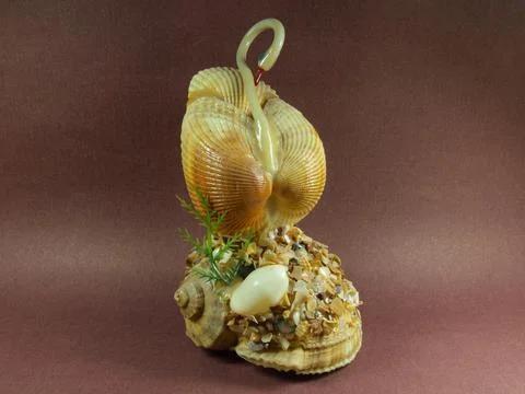 Swan. Souvenir made from shells. Stock Photos