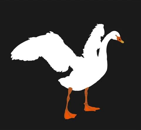 Swan spread wings vector illustration isolated イラスト素材