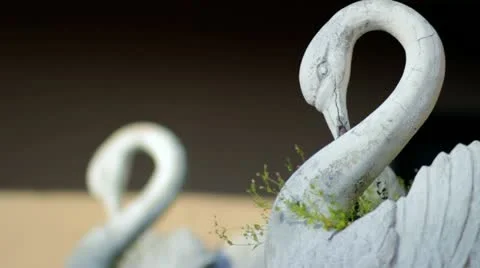 Swan Statue Stock Footage 11024600