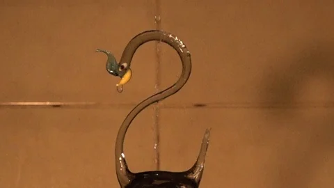 The swan taking a shower in super slow motion Stockbeeldmateriaal 101631899