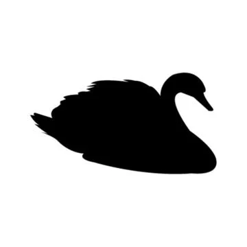 Swan on white Stock Illustration
