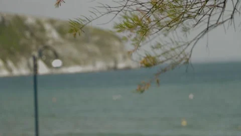 Swanage, cross focus camera play 스톡 동영상 137925485